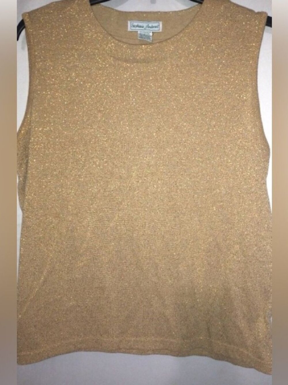 Stephanie Andrews 2X Gold Glistening Sleeveless Popover Shell Top Plus